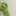 クック527