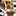 aokitty
