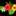 Aloha_qlp Aloha_qlp
