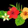 Aloha_qlp