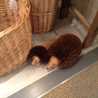 ちのち