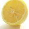Citron@France