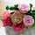 **rose** **rose**