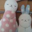 もりのかぴこ
