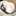 猫キッチンはーちゃん 猫キッチンはーちゃん