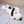 snoopy_snoopy