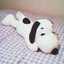snoopy_snoopy