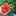 apricotpic