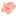 のんちゃん1018 のんちゃん1018