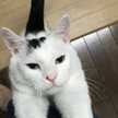 きよっちぃ