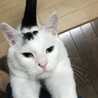 きよっちぃ