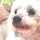 ピロイにゃん吉 ピロイにゃん吉