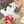m_oo