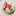 yataさん yataさん