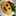shi_ori shi_ori