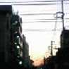 りょりょ