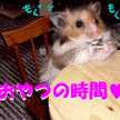 アウリ