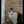 ぱとぷら