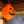 365ハロウィン