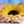 芋えり子さん