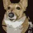 tica