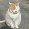 osenbei_