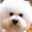 okapei