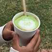 さちきた