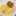 *ままみChan* *ままみChan*