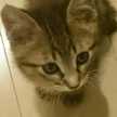 ☆Myla☆