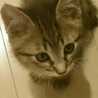 ☆Myla☆
