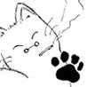 音子neko