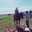 bknb38