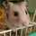 shino_rin shino_rin