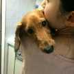 ポムさゆり