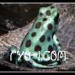 ryo1com
