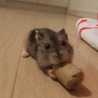 ベルリーナー