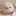 まゆたま328 まゆたま328