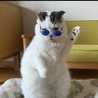QUIKO