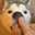 Heydude