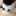 ねこわた7 ねこわた7