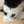 ねこわた7
