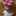 yukicoro