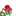 ☆tearose☆ ☆tearose☆