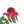 ☆tearose☆