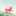 うさかめ