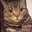 catruna