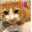 Ｓｗｅｅｔｃａｔ