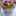 ココット24 ココット24