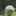 クックパパイヤ☆ クックパパイヤ☆